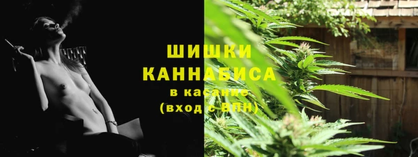гидра Волоколамск