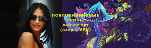 ГАЛЛЮЦИНОГЕННЫЕ ГРИБЫ Володарск