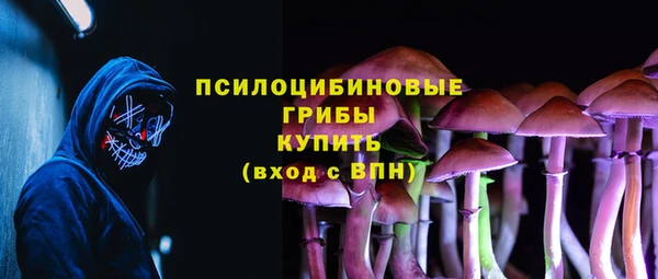 ГАЛЛЮЦИНОГЕННЫЕ ГРИБЫ Володарск