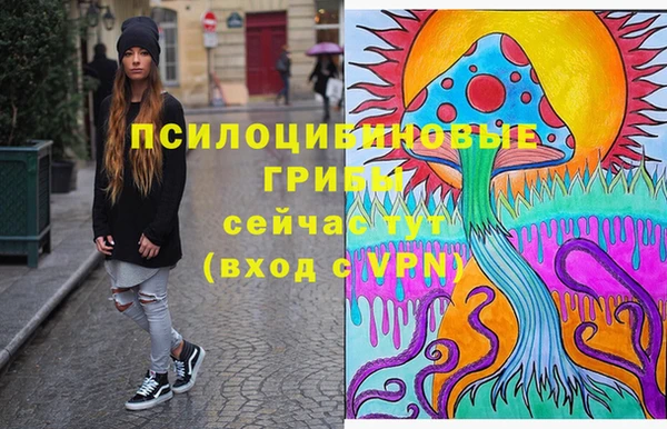 ГАЛЛЮЦИНОГЕННЫЕ ГРИБЫ Володарск