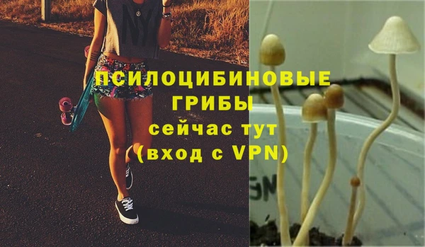 гидра Волоколамск