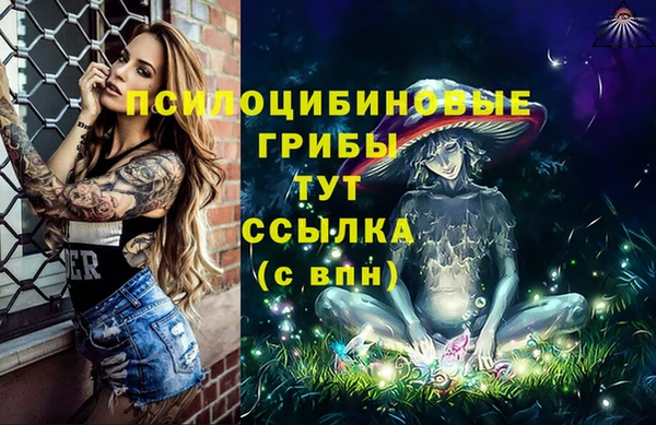 ГАЛЛЮЦИНОГЕННЫЕ ГРИБЫ Володарск
