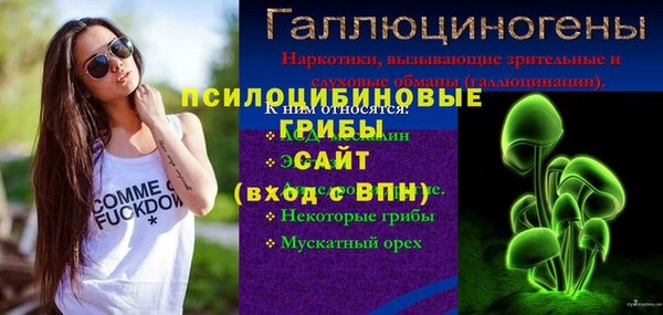 гидра Волоколамск