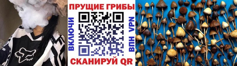 Галлюциногенные грибы Cubensis  Купить закладки  Ревда 
